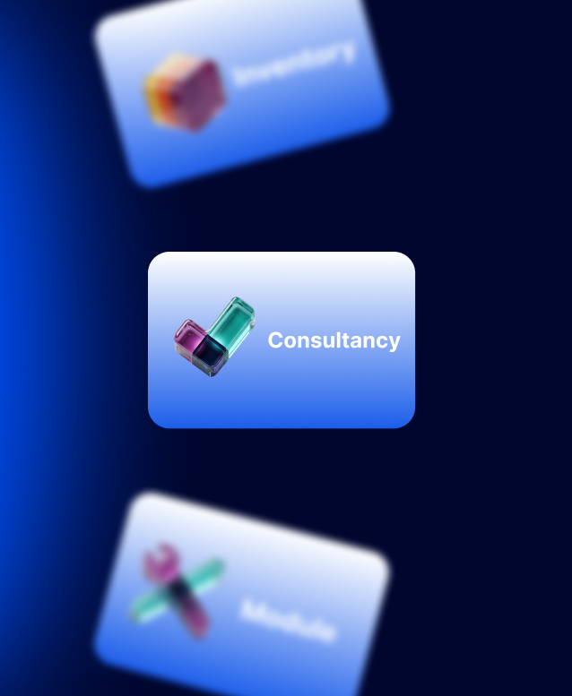 Odoo Techno-Functional Consultancy