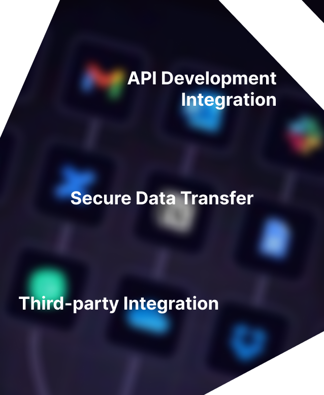 Custom API Development & Integration