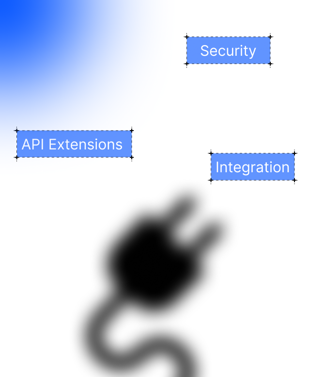 Custom Plugin & Module Development